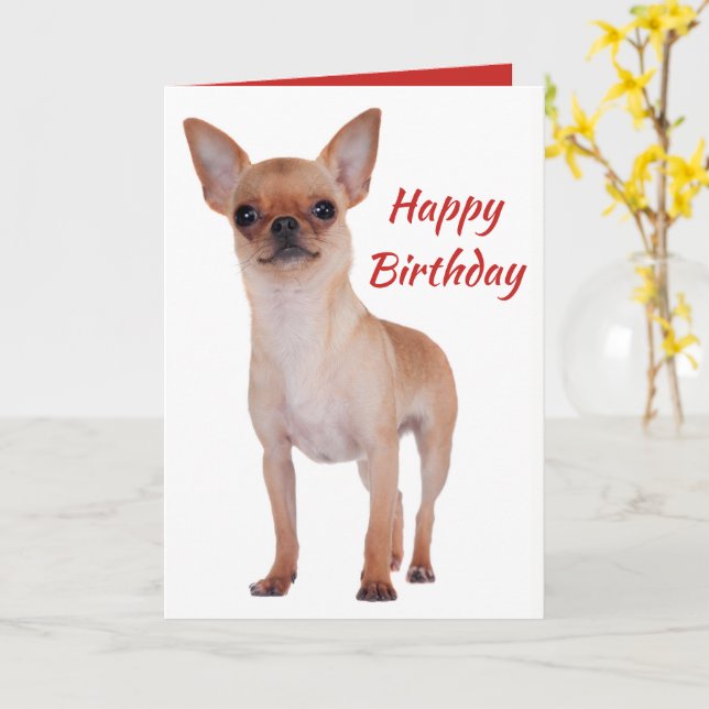 Happy Birthday Chihuahua Puppy Dog Puppies Dogs Card Zazzle