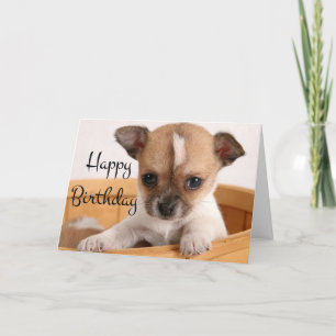 Happy Birthday Chihuahua Puppy Dog - Verse Card