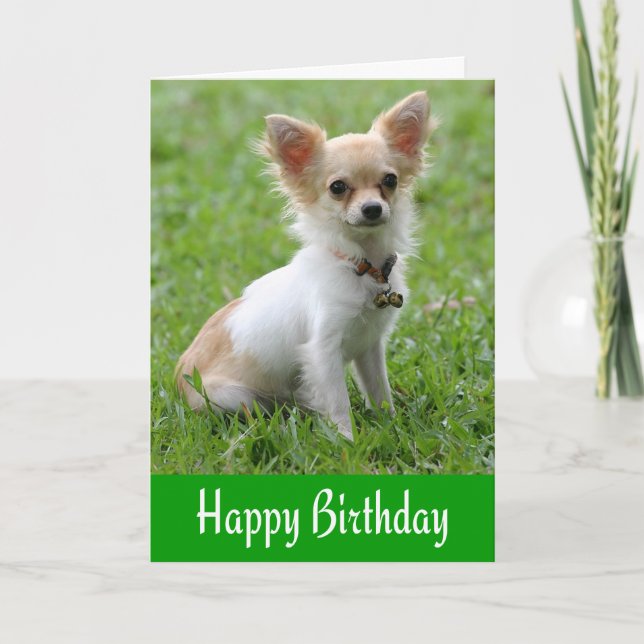 Happy Birthday Chihuahua Puppy Green Greeting Card (Front)