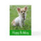 Happy Birthday Chihuahua Puppy Green Greeting Card