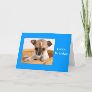 Happy Birthday Chihuahua Puppy Greeting Card