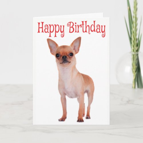 Happy Birthday Chihuahua Puppy Red Verse Card