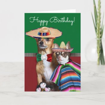 Happy Birthday Chihuahuas Card by ritmoboxer at Zazzle