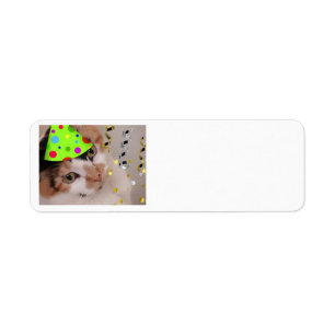 Happy Birthday Child Party Calico Cat Label
