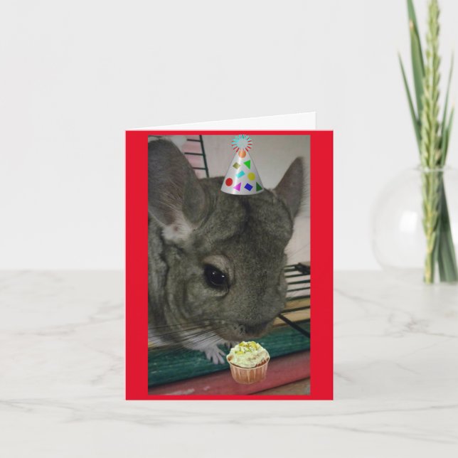 Happy Birthday Chinchilla Card (Front)