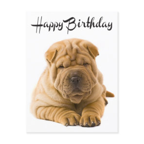 Happy Birthday Chinese Shar Pei Puppy Dog Card