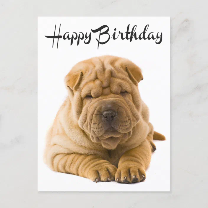 SHAR PEI THREE PUPS IN BASKET DOG BIRTHDAY GREETINGS NOTE CARD 