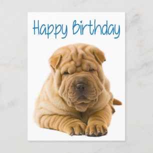 Happy Birthday Chinese Shar Pei Puppy Dog Card