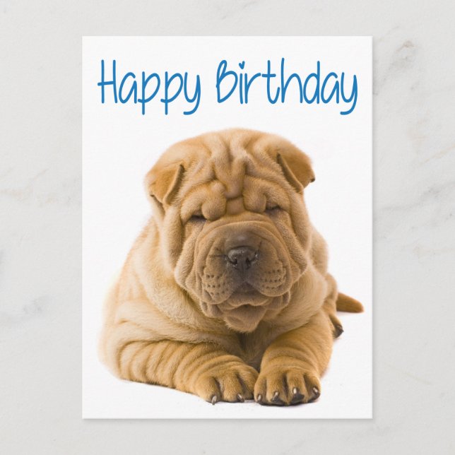 Happy Birthday Chinese Shar Pei Puppy Dog  Card (Front)