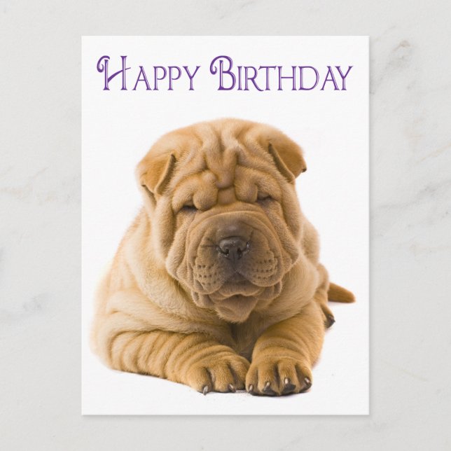 Happy Birthday Chinese Shar Pei Puppy Dog  Card (Front)
