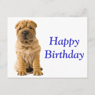 Happy Birthday Chinese Shar Pei Puppy Dog Card