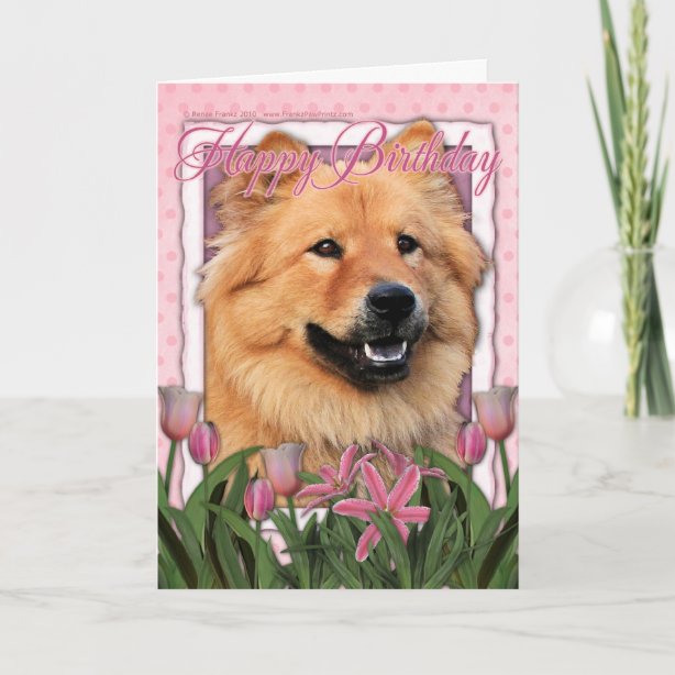 Chow Chow Birthday Cards | Zazzle