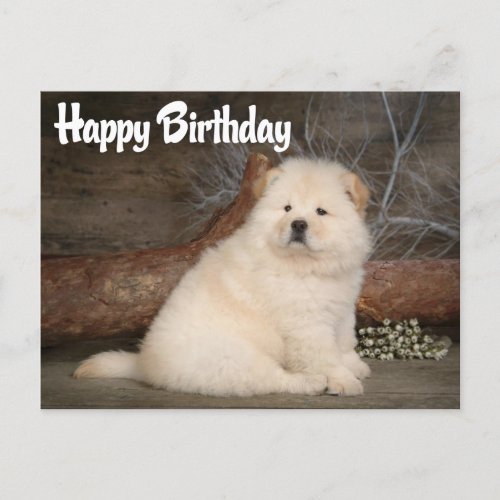 Happy Birthday Chow Chow Puppy Dog Postcard