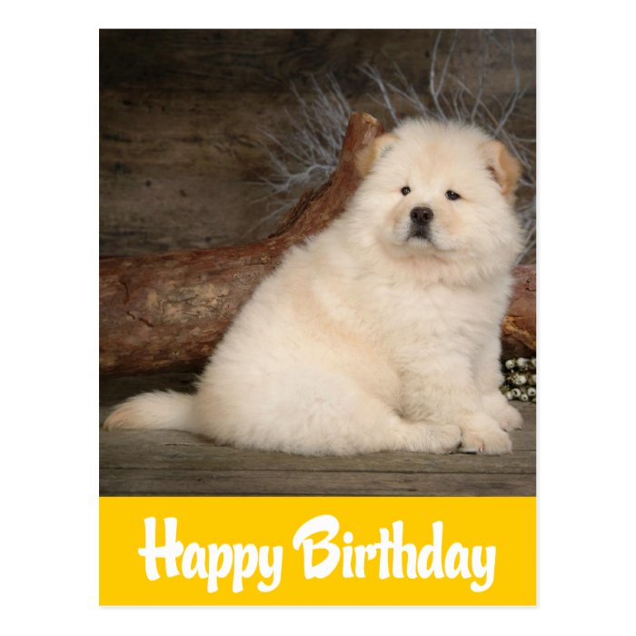 Happy Birthday Chow Chow Puppy Dog Yellow Postcard