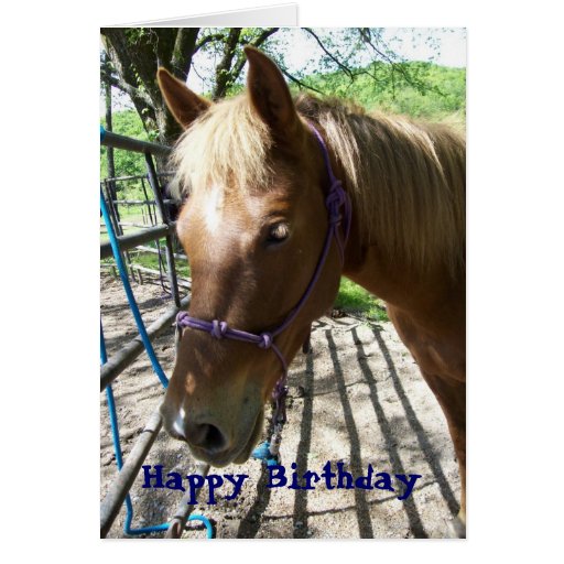 Happy Birthday Christian Card Horse | Zazzle