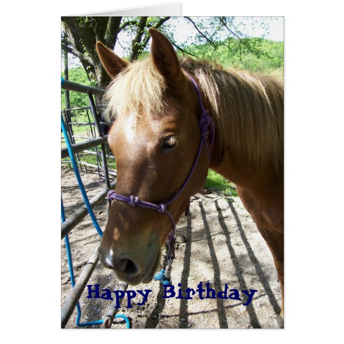 Happy Birthday Christian Card Horse