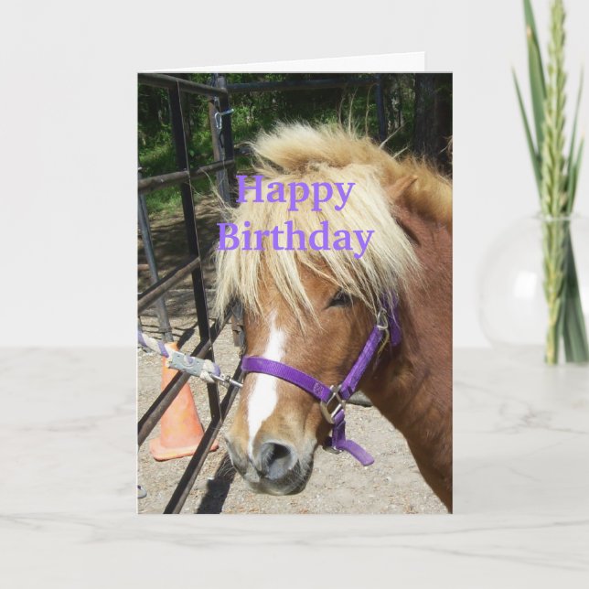 Happy Birthday Christian Card Pony (Front)