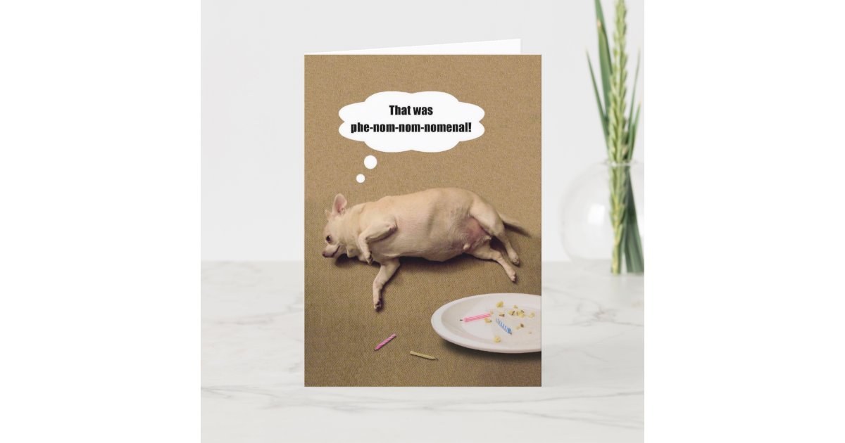 Happy Birthday Chubby Chihuahua Greeting Card Zazzle