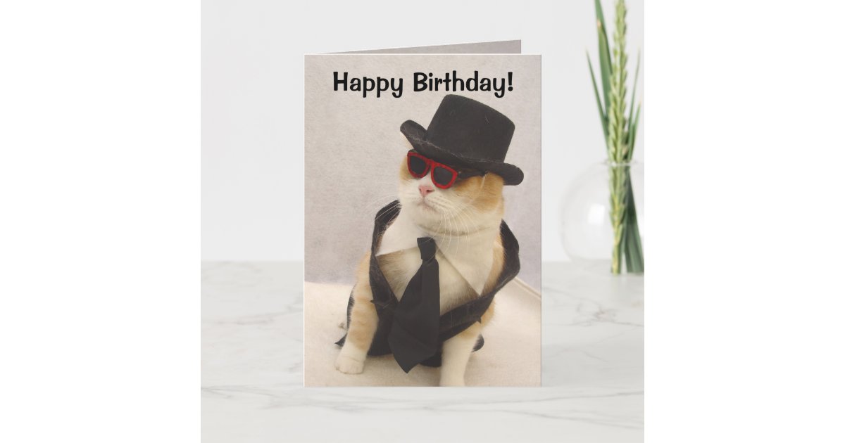 Happy Birthday, Cool Cat! Card | Zazzle.com