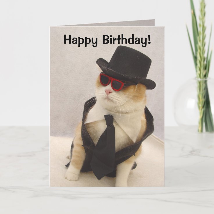 Happy Birthday, Cool Cat! Card Zazzle