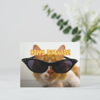 Happy Birthday - Cool Cat in Sunglasses Postcard | Zazzle