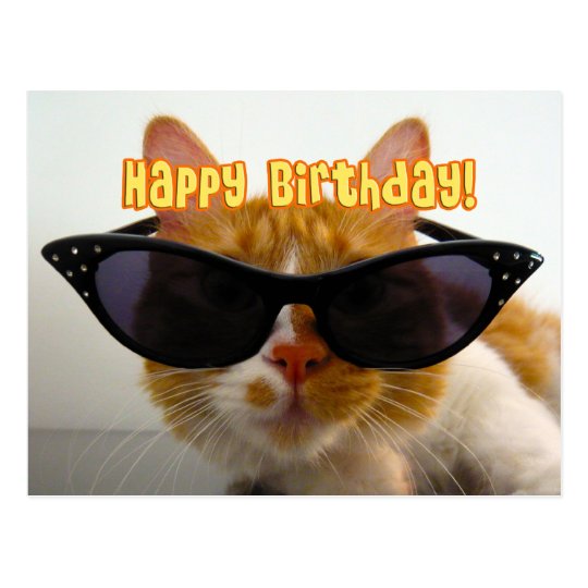 Happy Birthday - Cool Cat in Sunglasses Postcard | Zazzle.com