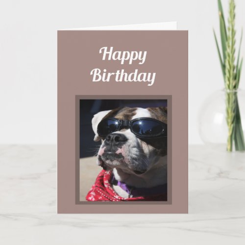 Happy Birthday Cool Dude Fun Boxer Dog Greeting Card