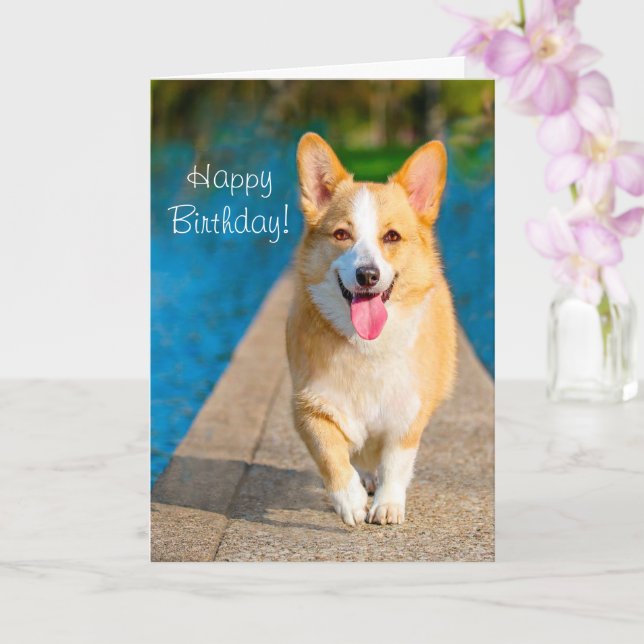 70 x 120 card sleeves Corgi Go Shorty Birthday Card main image 0