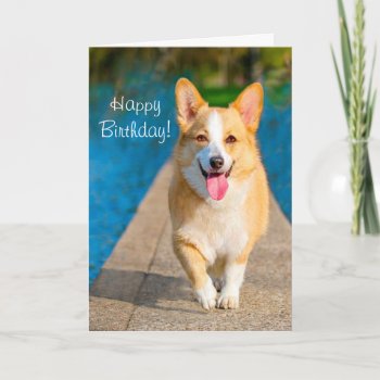 Happy Birthday Corgi Dog Card by AutumnRoseMDS at Zazzle
