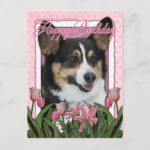 Happy Birthday - Corgi Postcard