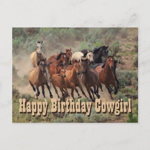 Happy Birthday Cowgirl Postcard