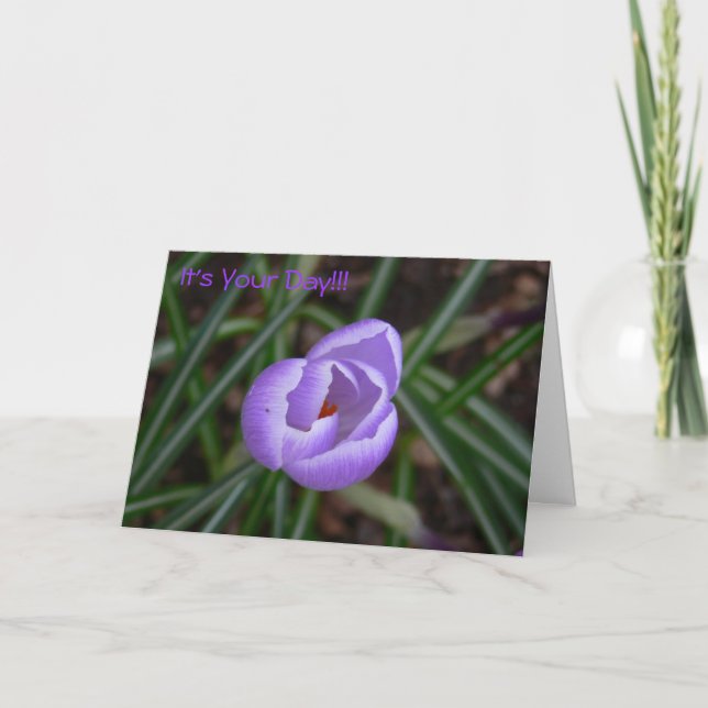 Happy Birthday-crocus flower Card (Front)