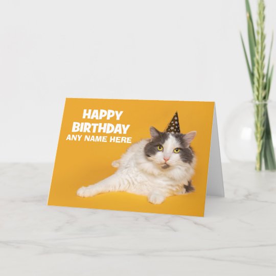 Happy Birthday Custom Name Cute Cat in Party Hat Holiday Card | Zazzle.com