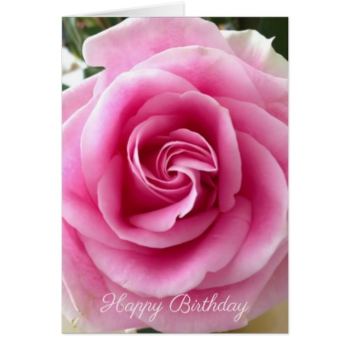 Happy Birthday Customizable Pink Rose