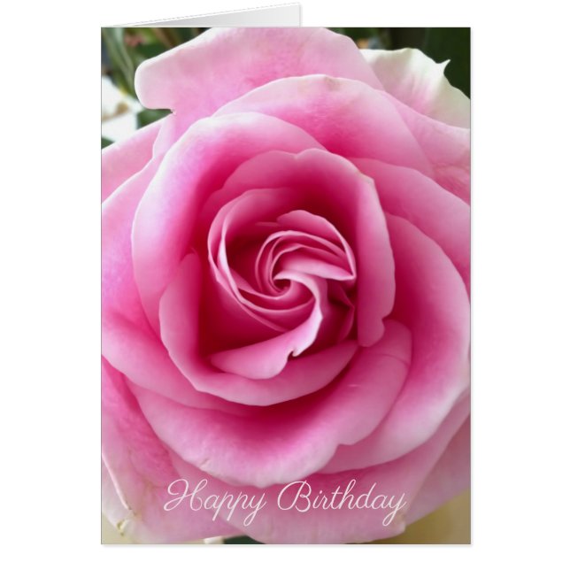 Happy Birthday Customizable Pink Rose Cards (Front)