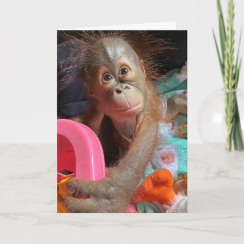 Happy Birthday Cute Baby Orangutan Card