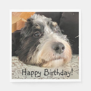 Happy Birthday Cute Bernedoodle Napkins