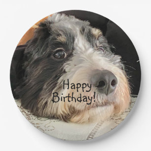 Happy Birthday Cute Bernedoodle Paper Plates