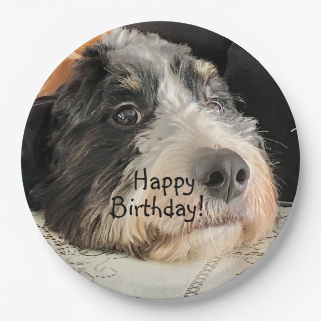Happy Birthday Cute Bernedoodle Paper Plates (Front)