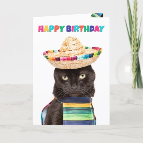 Happy Birthday Cute Black Cat in Sombrerro Holiday Card