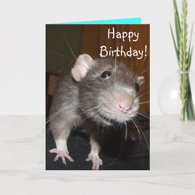 Happy Birthday! cute blue rat card (Front)