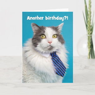Happy Birthday Cute Can in Tie Holiday Card