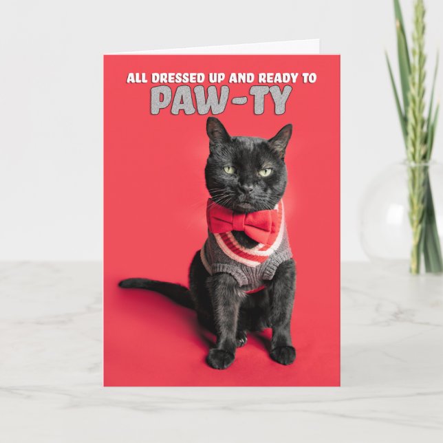 Happy Birthday Cute Cat Dressed in Sweater Holiday Card (Front)