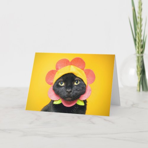 Happy Birthday Cute Cat in Flower Hat  Holiday Card