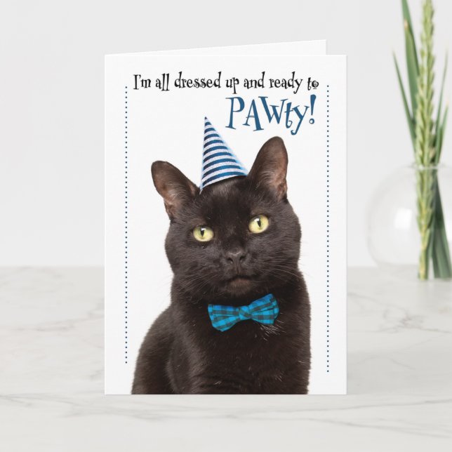 Happy Birthday Cute Cat in Party Hat Humor Holiday Card (Front)