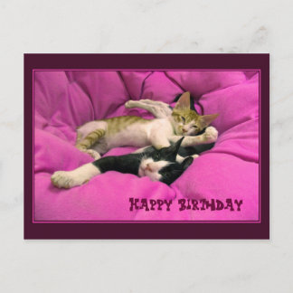 Happy Birthday cute cats Postcard