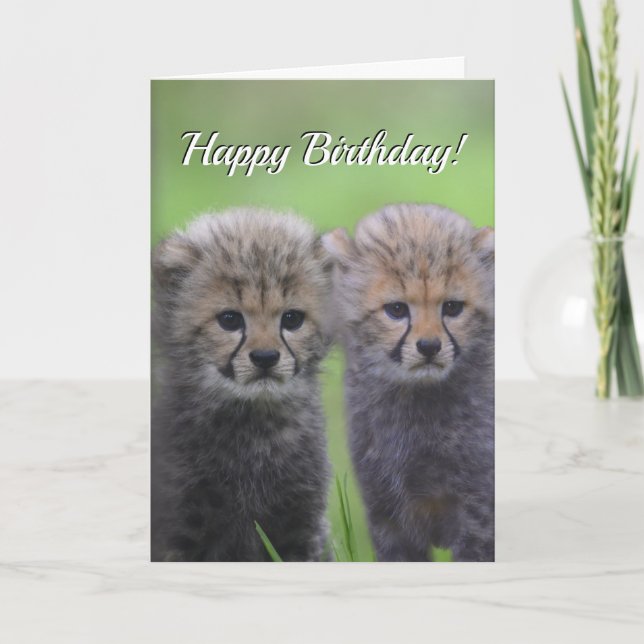 Happy Birthday Cute Cheetah Sibling Cubs Card (Front)