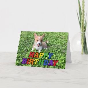 Happy Birthday Cute Corgi Puppy Photo Rainbow Card