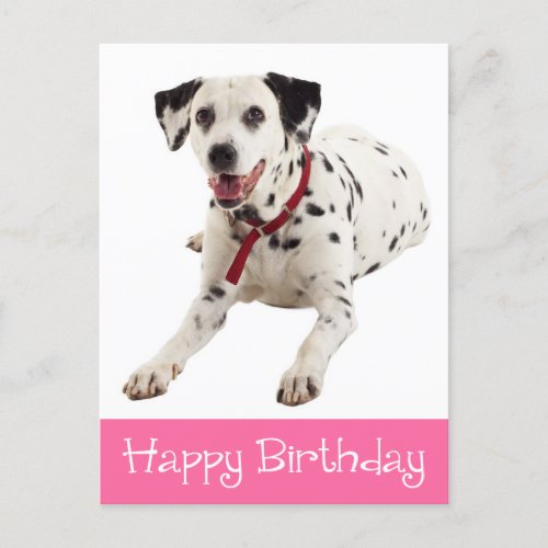 Happy Birthday Cute Dalmatian Puppy Dog Lover Postcard