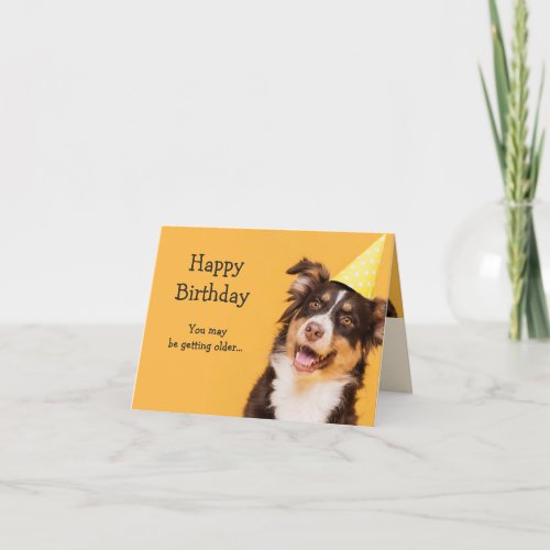 Happy Birthday Cute Dog Getting Older Fun quote Card